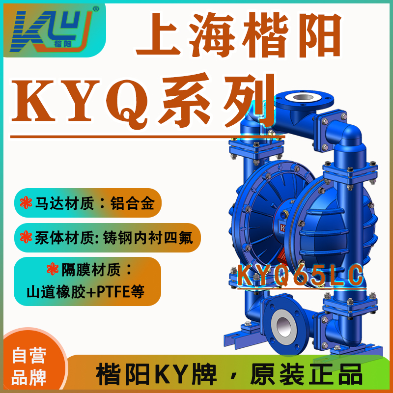 KYQ實用款-鋼襯氟氣動隔膜泵5